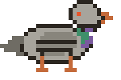 Platform Pigeon