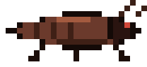 Subway Cockroach